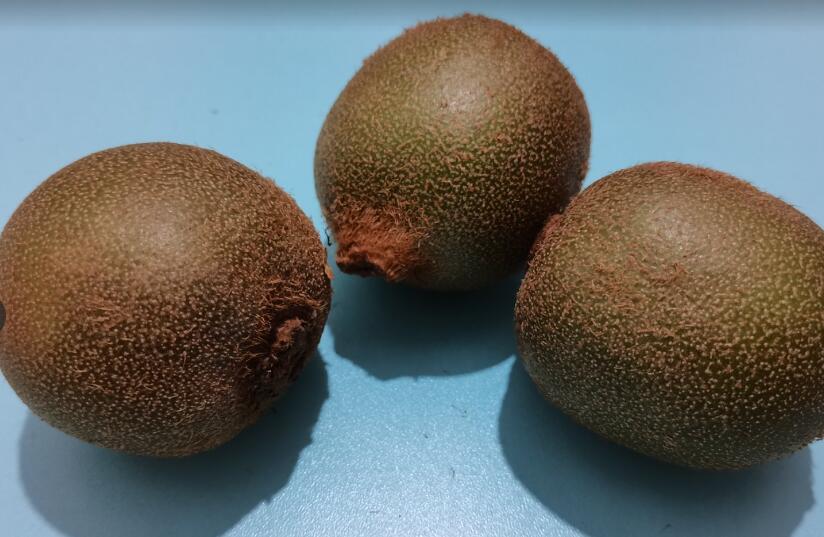 西安市市场监管局提前介入 强化帮扶赋能周至猕猴桃产业高质量发展