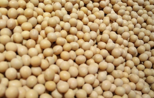 《粮食水分检测 卤素快速干燥法》公开征求意见