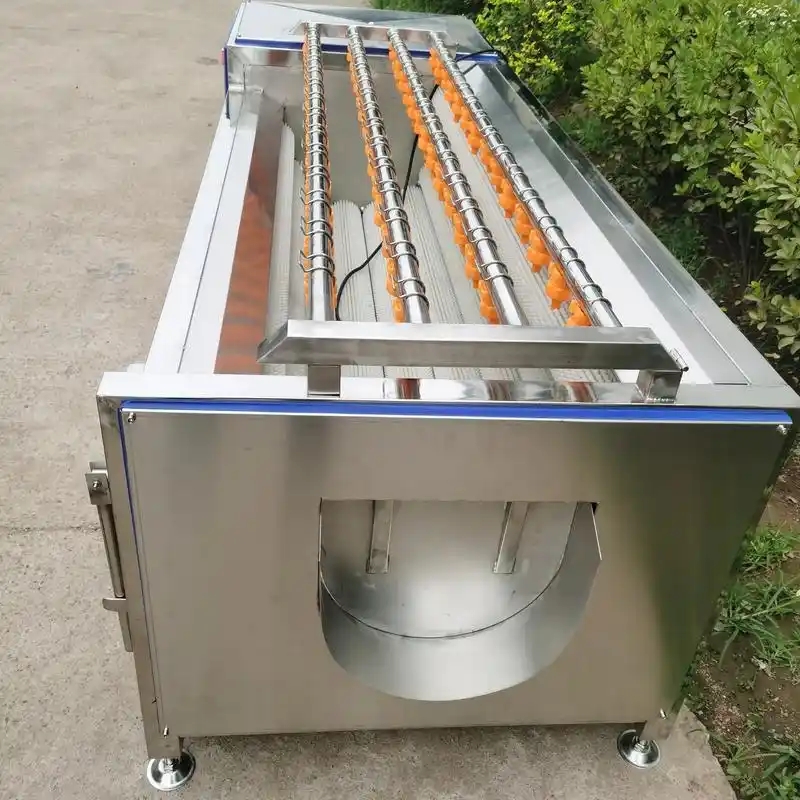 果蔬毛辊清洗机