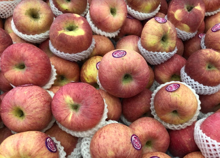 加強(qiáng)地理標(biāo)志保護(hù)，以“小標(biāo)志”帶動(dòng)“大產(chǎn)業(yè)”護(hù)航昭通蘋果產(chǎn)業(yè)高質(zhì)量發(fā)展