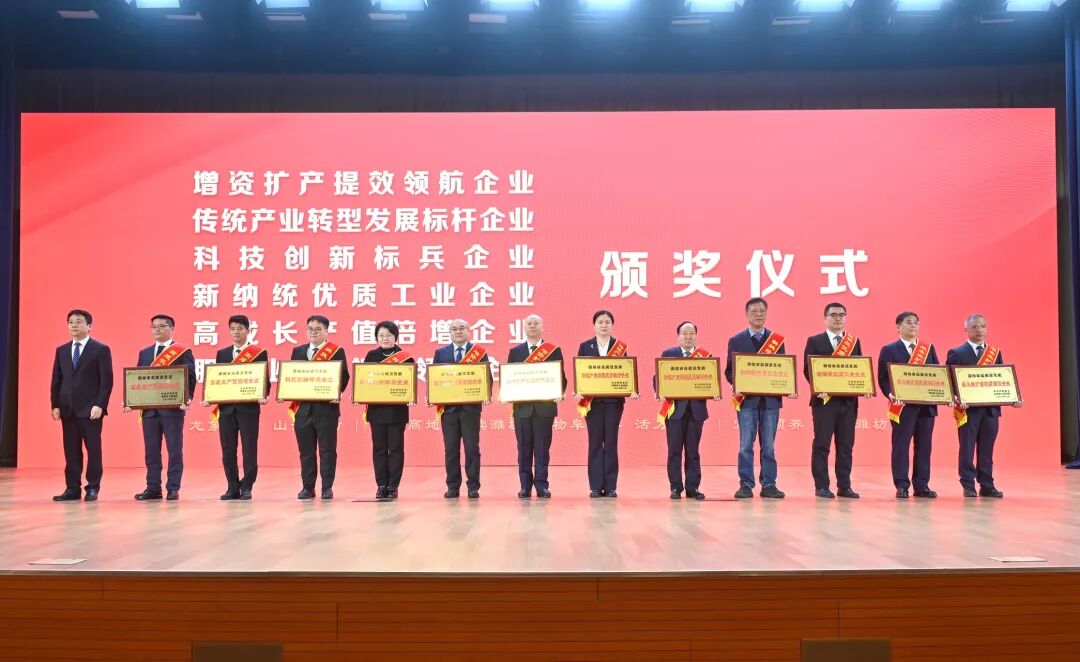 得利斯集團(tuán)榮獲濰坊市“科技創(chuàng)新標(biāo)兵企業(yè)”榮譽(yù)稱號(hào)