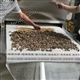 連續(xù)式微波花椒殺菌機 調(diào)味品微波干燥設(shè)備