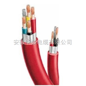 JGGP-10*2.5硅橡胶电缆
