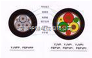 變頻電纜ZR-BPYJVPX12R-TK 3*10+1*6