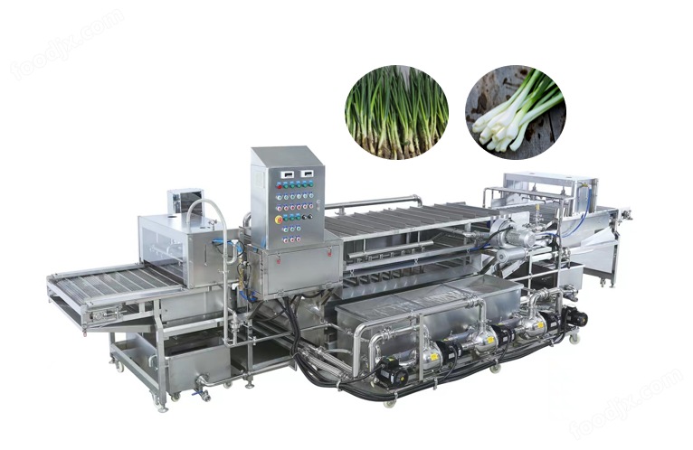 Stainless steel fruit and vegetable cleaning machine