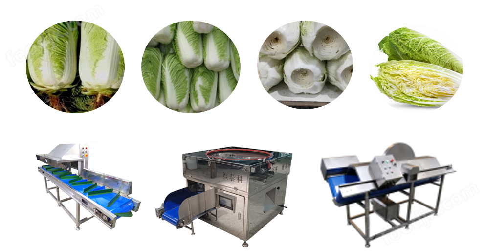 Cabbage core remover