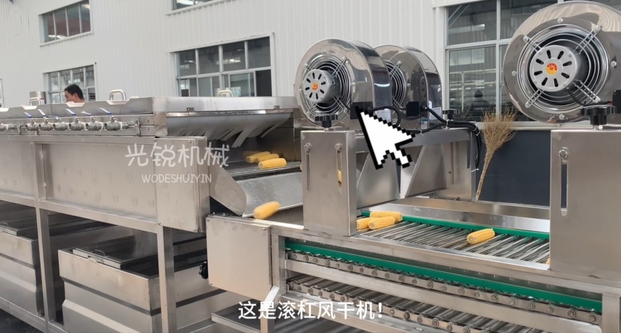 玉米加工处理流水线