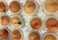 攀枝花市全链条促进鲜桃产业发展