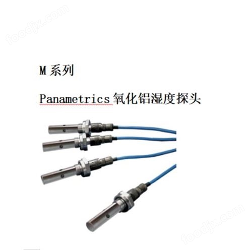 Panametrics氧化铝湿度变送器