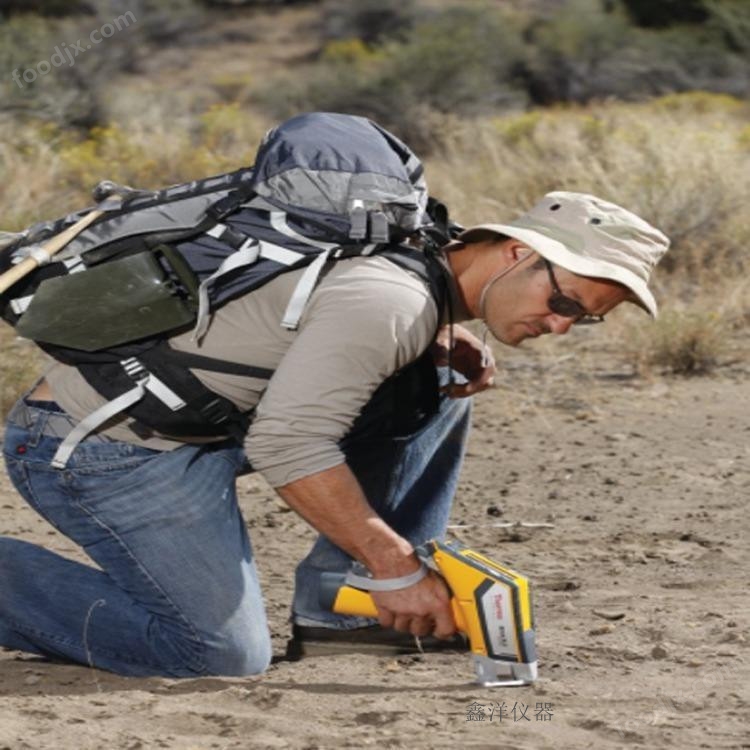 Niton XL2 600手持式土壤重金屬檢測儀（尼通）
