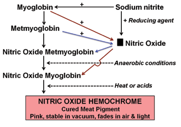 1肉類顏色測量指南-肌紅蛋白化學(xué)講解4.png 1肉類顏色測量指南-肌紅蛋白化學(xué)講解4.png