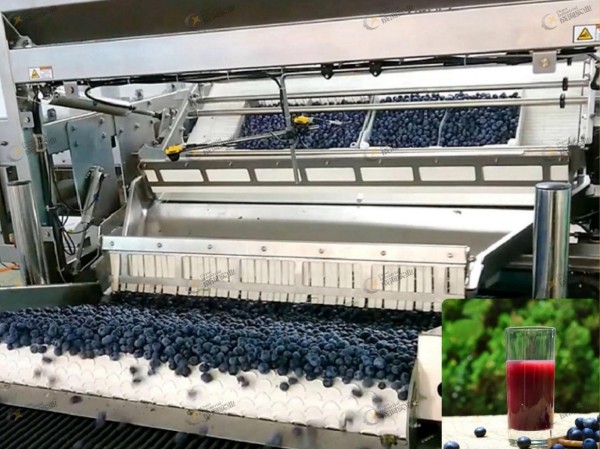 工业级浆果加工生产线造价解析及配置参考