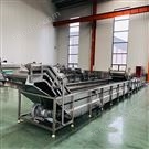 蔬菜清洗機(jī)